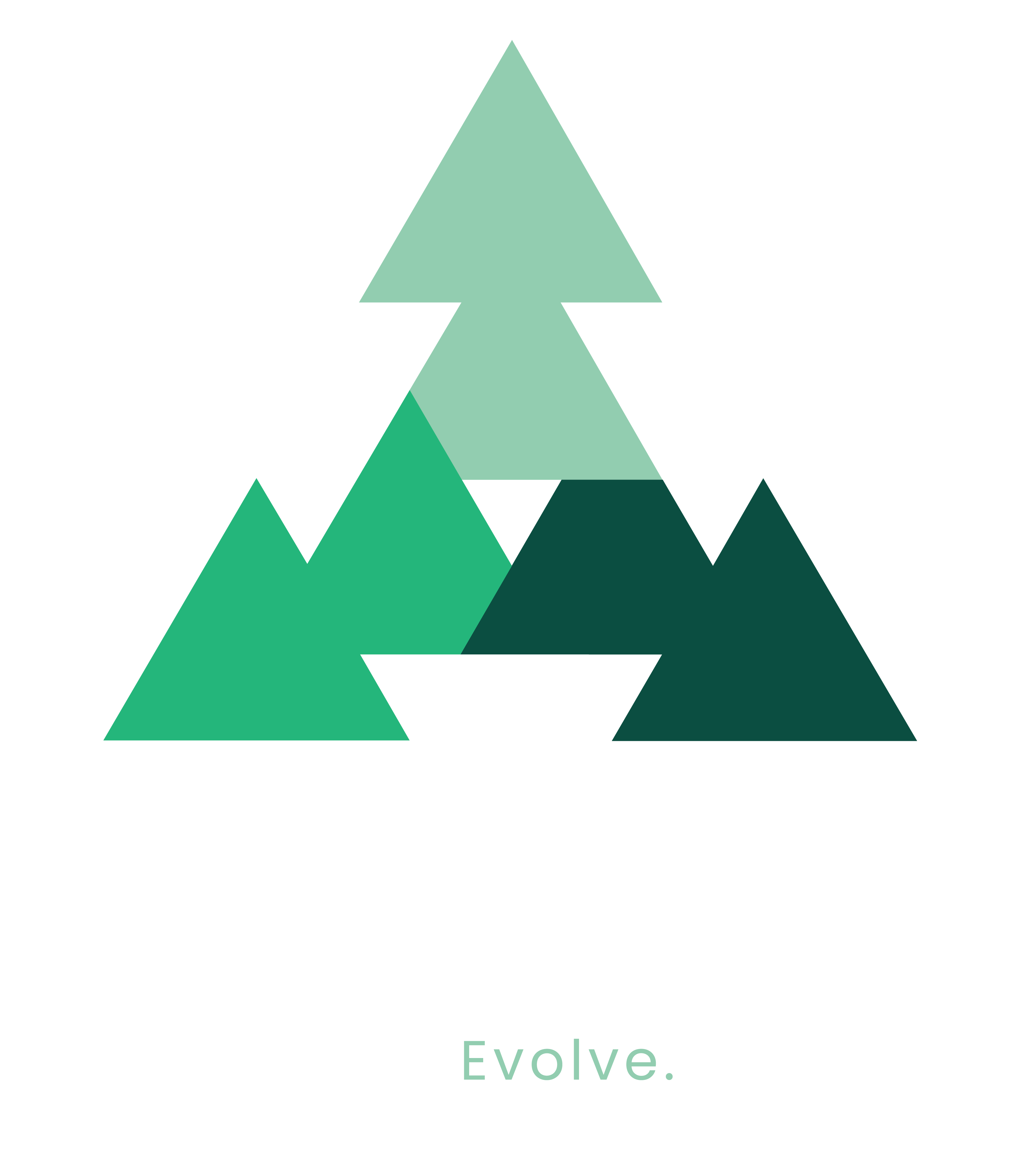 BiomeBlocks logo